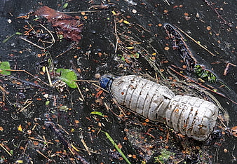 Discarded plastic bottle floating in dark polluted water