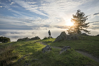 Lone Hiker on Mountain Summit Above Sea of Clouds at Sunrise