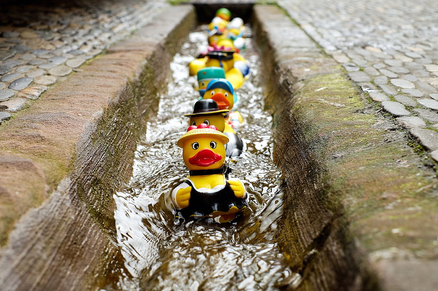Line of rubber ducks floating in a stone water channel