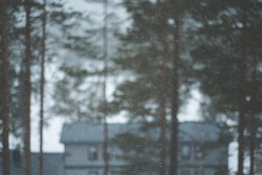 Blurred winter forest with falling snow and house background