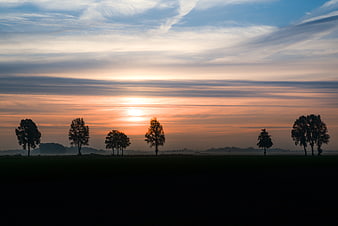 Silhouetted trees against a colorful sunrise landscape