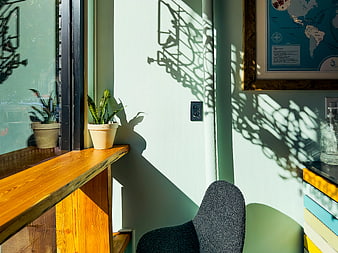 Sunlit Coffee Shop Interior with Plant Shadows