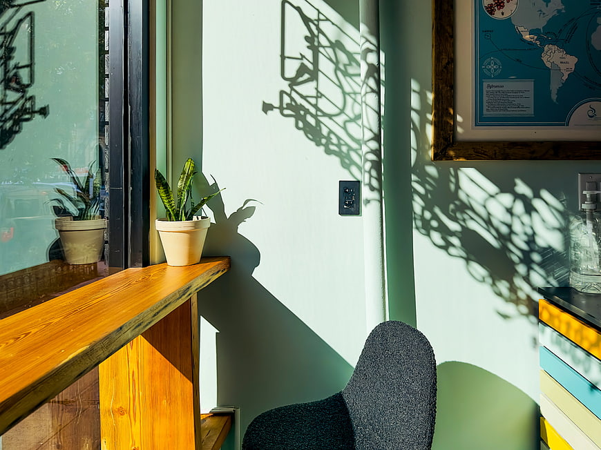 Sunlit Coffee Shop Interior with Plant Shadows