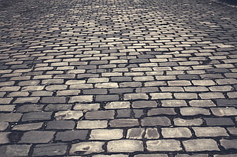 Grey Cobblestone Pavement Texture Background