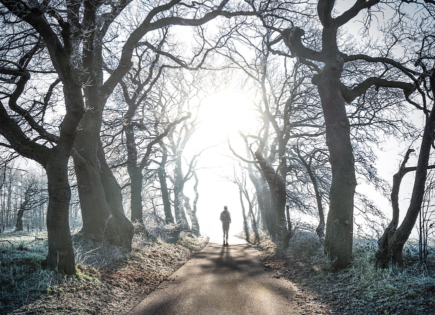 Lone figure walking down sunlit forest path in winter
