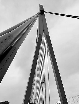 Low angle black and white view of modern cable-stayed bridge tower