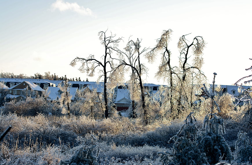 Frosty Winter Landscape with Icy Trees and Snowy Houses