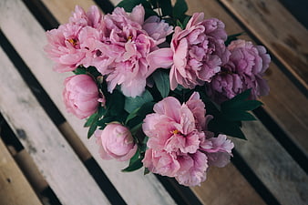 Pink Peonies on Wooden Slats