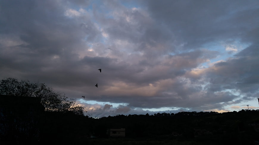 Dramatic cloudy sky at dusk with silhouetted birds and trees
