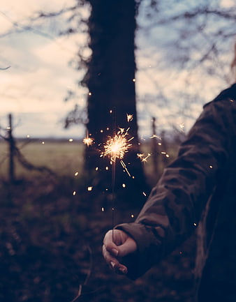 Hand holding sparkler in forest at dusk