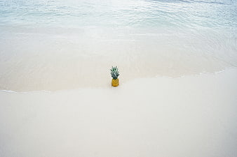Lone pineapple on white sand beach with ocean waves