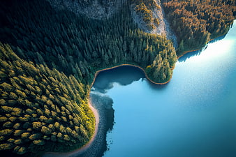 Aerial View of Serene Lake Surrounded by Dense Forest