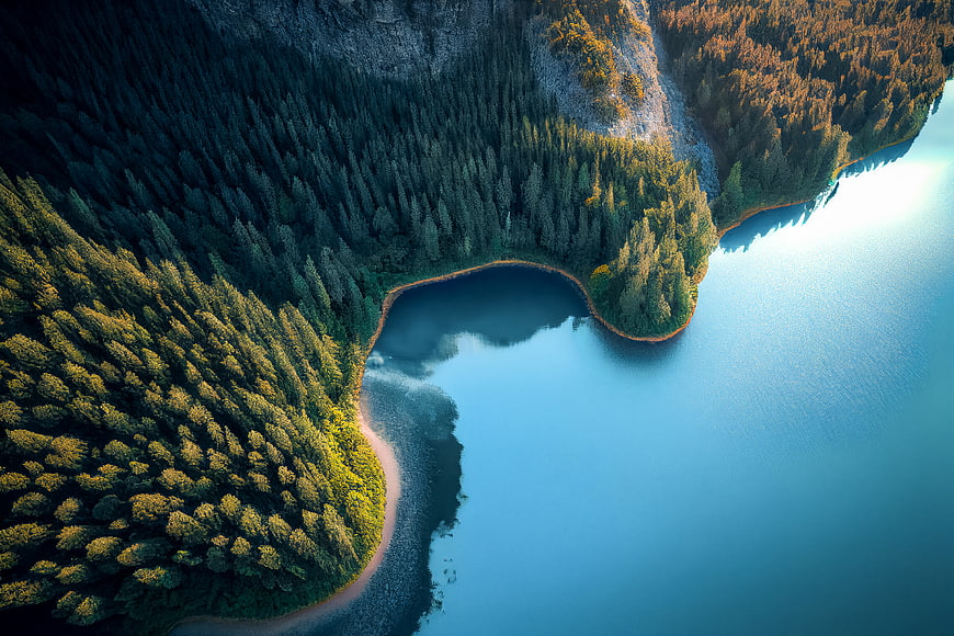 Aerial View of Serene Lake Surrounded by Dense Forest