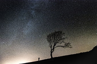 Silhouette of Person and Tree Under Milky Way Galaxy