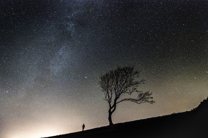 Silhouette of Person and Tree Under Milky Way Galaxy