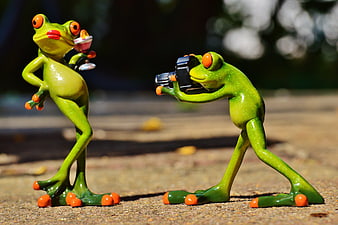 Funny frog figurines posing with camera and cocktail