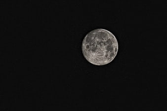 Full Moon in Night Sky with Craters