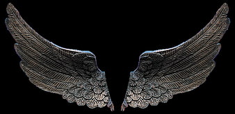 Silver angel wings sculpture isolated on black background