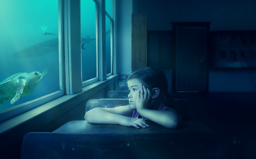 Dreamy young girl gazing at sea turtle in classroom window