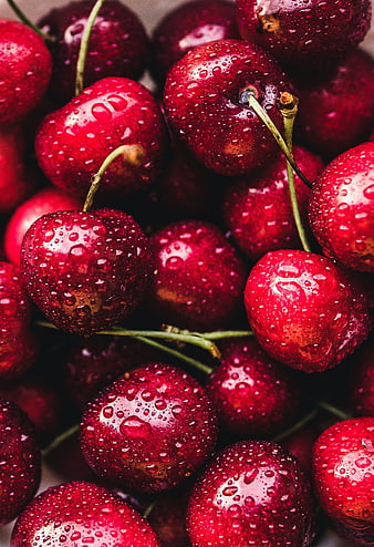 Close-up of fresh red cherries with water droplets