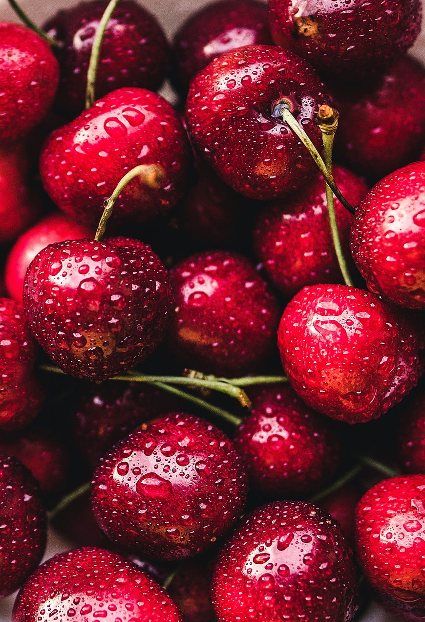 Close-up of fresh red cherries with water droplets