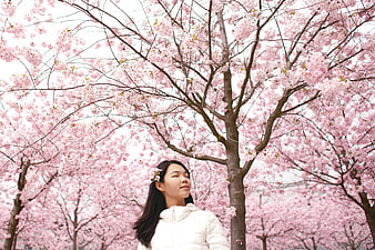 Woman enjoying cherry blossoms in spring park