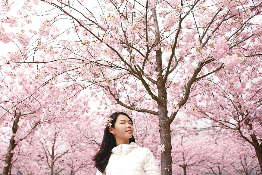 Woman enjoying cherry blossoms in spring park