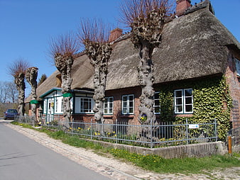 Traditional Thatched Roof House in German Village
