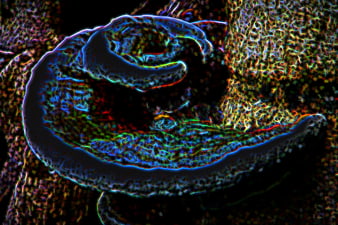 Abstract psychedelic glowing blue and green organic texture