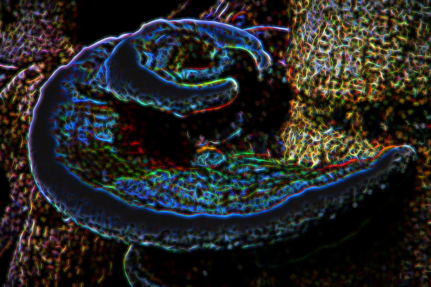 Abstract psychedelic glowing blue and green organic texture