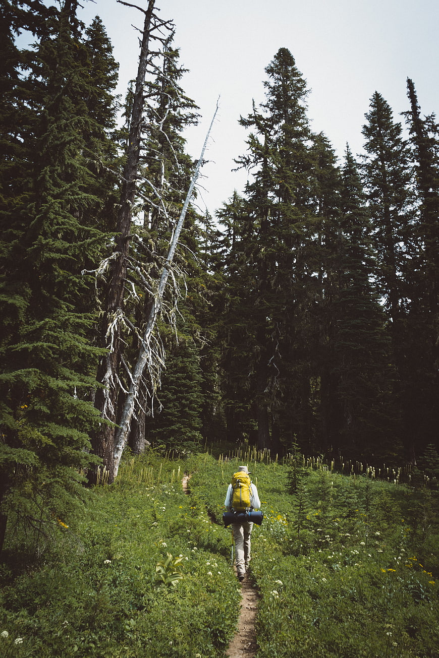 Hiker with yellow backpack walking on forest trail
