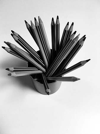 Black and white pencils in a cup on white background