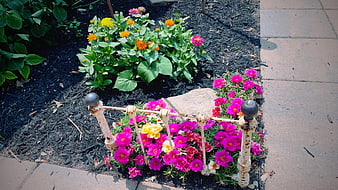 Colorful flowers in garden bed with decorative metal fence