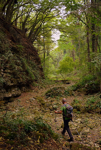 Hiker with Backpack Walking on Rocky Forest Trail
