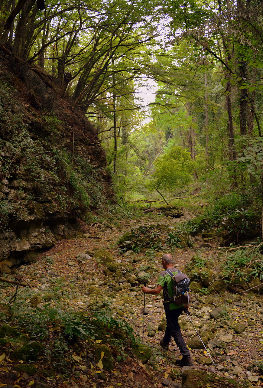Hiker with Backpack Walking on Rocky Forest Trail