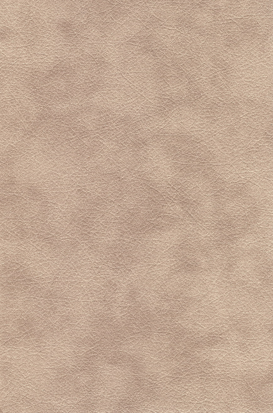 Close-up of beige leather texture background