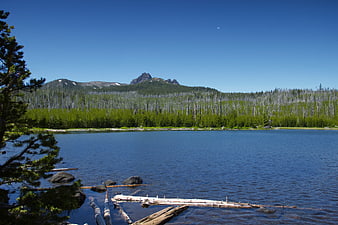 Serene alpine lake with forested mountains and clear blue sky