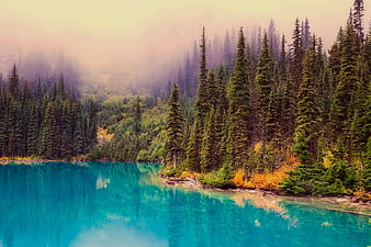 Turquoise lake with pine forest and autumn reflections in misty mountains
