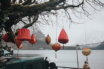 Red lanterns hanging from tree branches by a lake