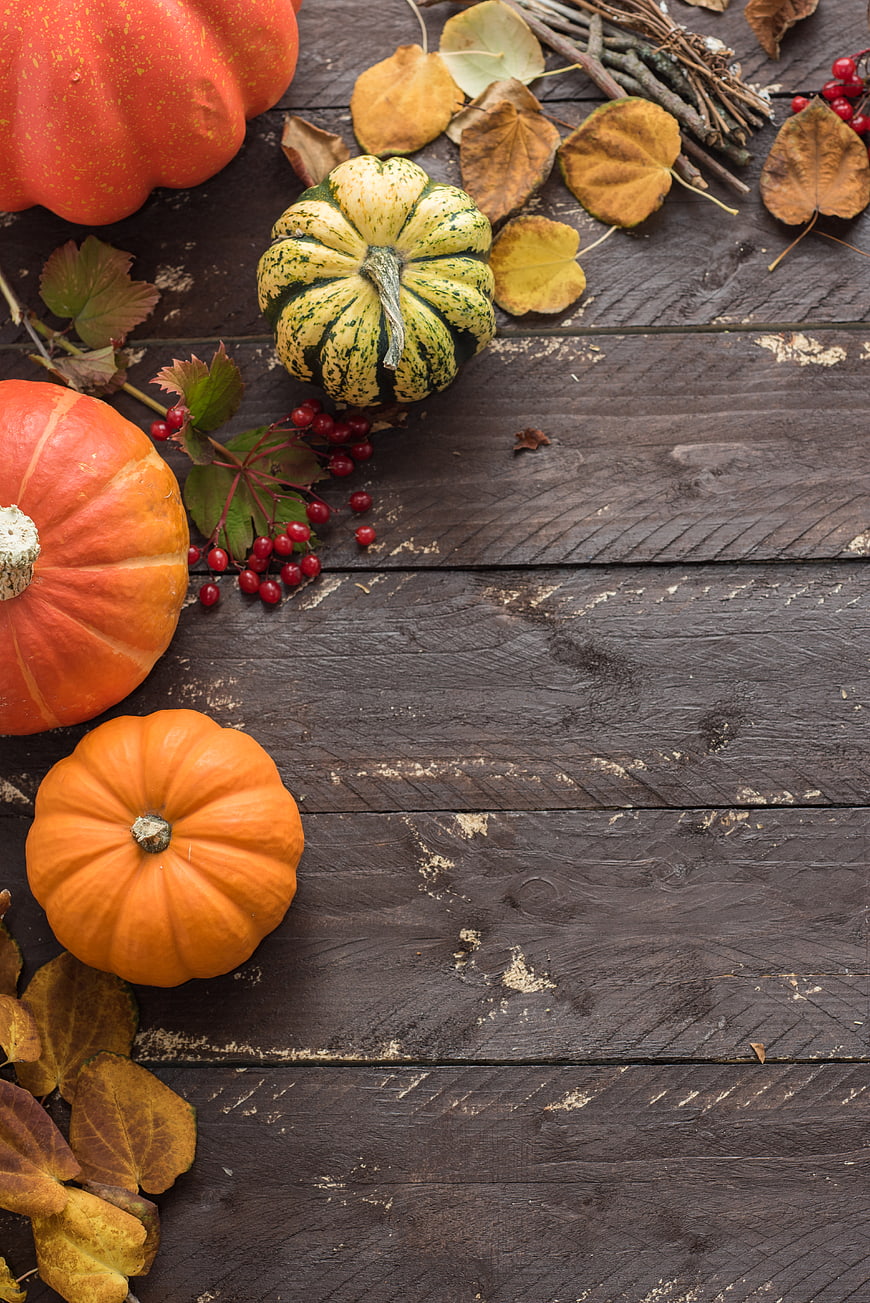 Autumn pumpkins and berries on rustic wooden background