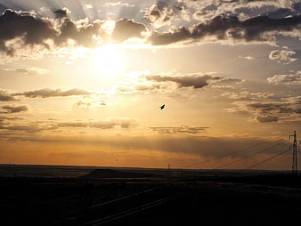Dramatic sunset landscape with sun rays and flying bird silhouette