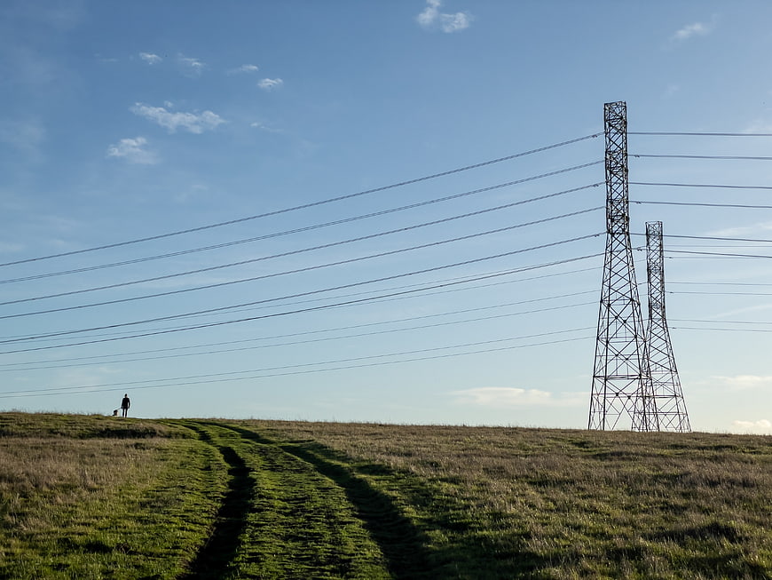 Hiker walking on grassy hill with power lines