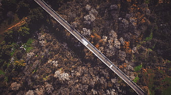 Aerial view of a bridge crossing an autumn forest