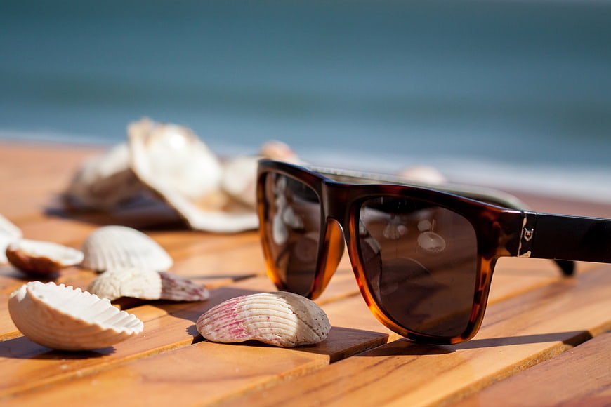 Tortoiseshell Sunglasses and Seashells on Wooden Deck by Sea
