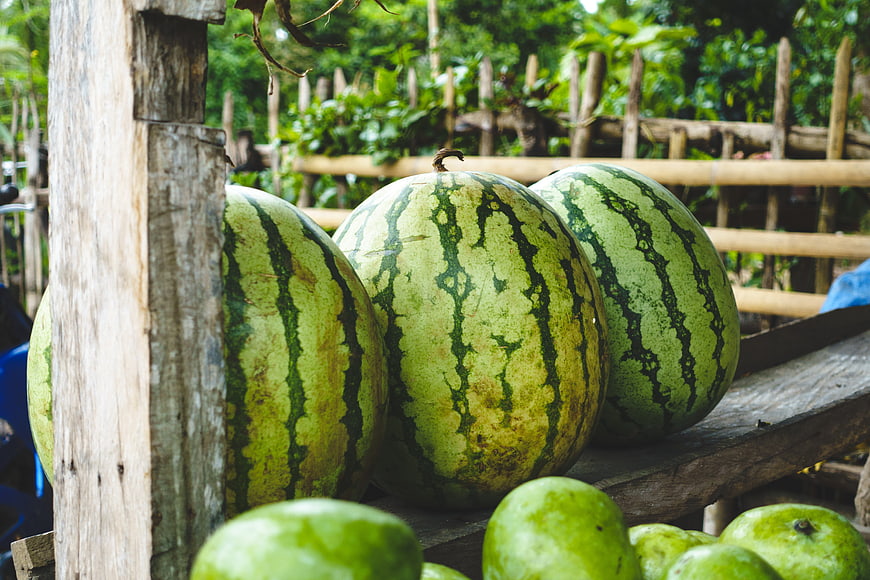 Fresh watermelons and green mangoes on rustic wooden shelf