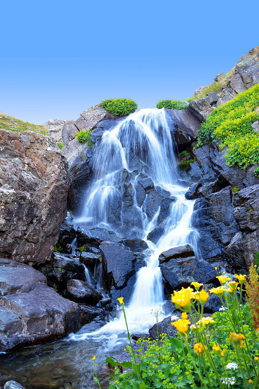 Mountain waterfall cascading over rocks with yellow flowers