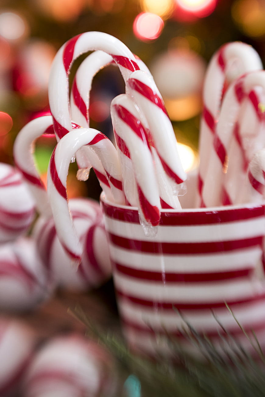 Christmas Candy Canes in Striped Cup with Bokeh Lights