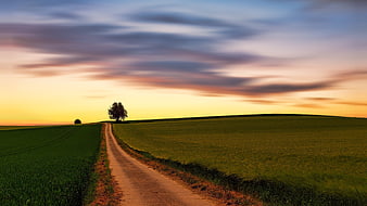 Rural dirt road leading through green fields at sunset