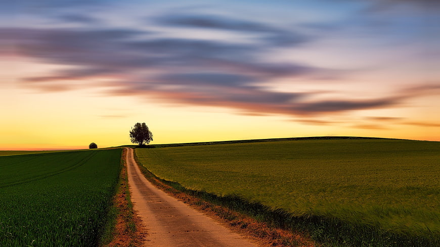 Rural dirt road leading through green fields at sunset