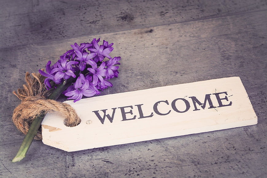 Purple Hyacinth Flower on Wooden Welcome Sign